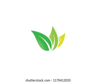 Green Leaf Symbol Illustration Stock Vector (Royalty Free) 1170412033