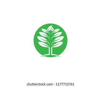 Green leaf symbol illustration