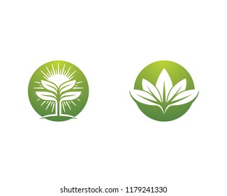Green leaf symbol illustration