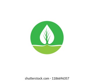 Green leaf symbol illustration