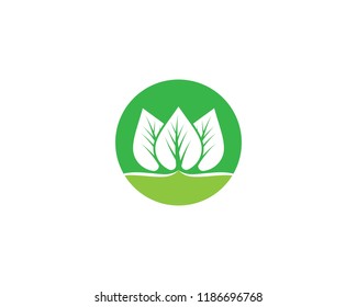 Green leaf symbol illustration