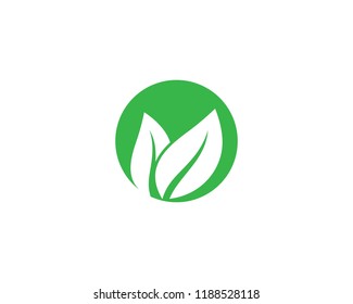 Green leaf symbol illustration