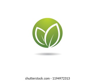 Green leaf symbol illustration