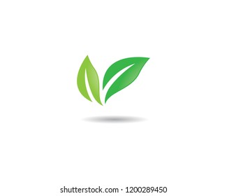 Green leaf symbol illustration