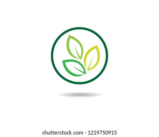 Green leaf symbol illustration