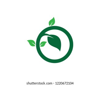 Green leaf symbol illustration