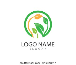 Green leaf symbol illustration