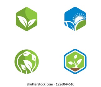 Green leaf symbol illustration