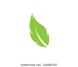Green leaf symbol illustration