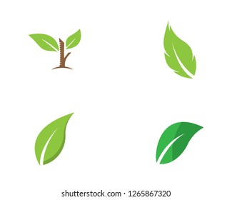 Green leaf symbol illustration
