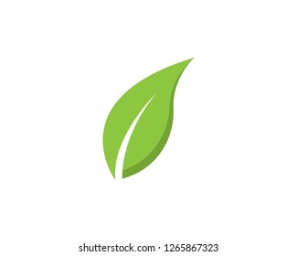 Green leaf symbol illustration
