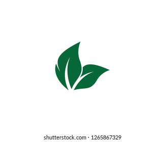 Green leaf symbol illustration