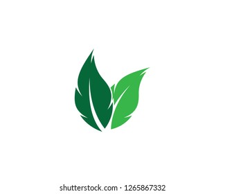 Green leaf symbol illustration