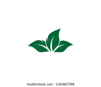 Green leaf symbol illustration