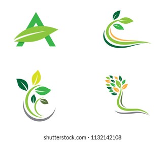 Green leaf symbol illustration design