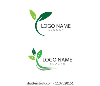 Green leaf symbol illustration design