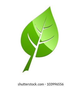 Green leaf symbol isolated on white background vector illustration.