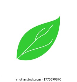 Símbolo de hoja verde sobre fondo blanco. ilustración vectorial