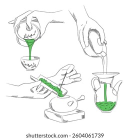 Green leaf tea ceremony. Vector illustrator