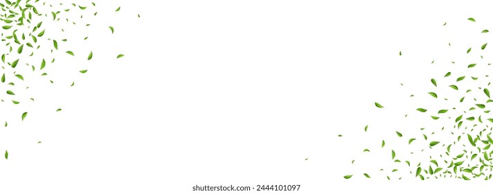 Green Leaf Tea Vector Panoramic White Background Template. Abstract Leaves Brochure. Grassy Greens Blur Backdrop. Foliage Nature Banner.