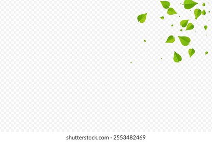 Green Leaf Tea Vector Transparent Background Design. Falling Greens Illustration. Swamp Foliage Spring Brochure. Leaves Swirl Template.