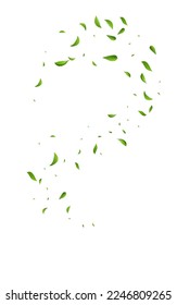 Green Leaf Tea Vector White Background Wallpaper. Swirl Greens Poster. Mint Foliage Herbal Pattern. Leaves Blur Branch.