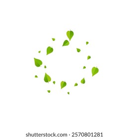 Green Leaf Tea Vector White Background Template. Fly Leaves Poster. Lime Greens Realistic Wallpaper. Foliage Motion Border.
