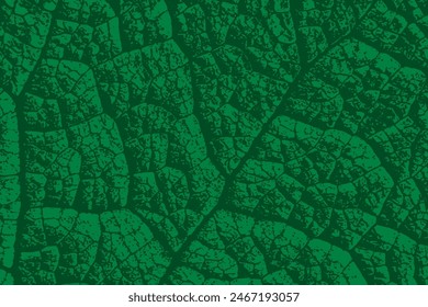 Green leaf texture. Dark green foliage background. Abstract macro leaves. Plant pattern closeup. Top view. Vector illustration, EPS 10.