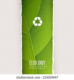 Green leaf texture under torn paper with recycling symbol. Vector, EPS10
