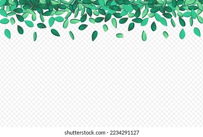 Green Leaf Transparent Vector Transparent Background Concept. Fly Leaves Wallpaper. Swamp Foliage Herbal Backdrop. Greens Nature Poster.
