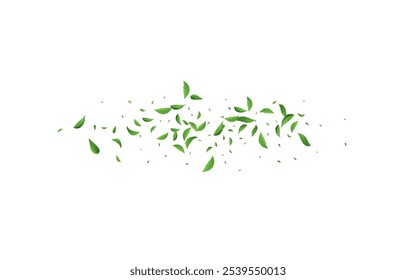 Green Leaf Transparent Vector White Background Pattern. Herbal Greens Plant. Forest Foliage Abstract Template. Leaves Spring Illustration.