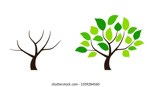 Green leaf tree illustration set
(summer winter)