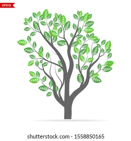 Green leaf tree, isolated on a white background, vector