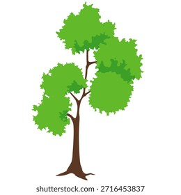 Ilustración de naturaleza de árbol de hoja verde