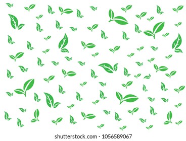 green leaf of tree on white background.