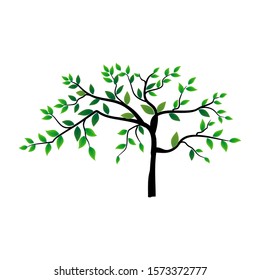 Green leaf tree on a white background. Vector illustration. - Vector