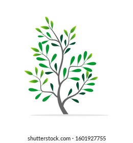 Green leaf tree plant with white background. Vector