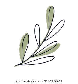 Green leaf from a tree, sketch style