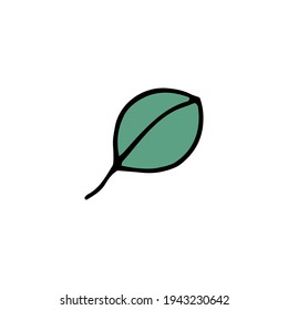 Green leaf from a tree. Summer. Plant. Vector hand-drawn doodle illustration.	