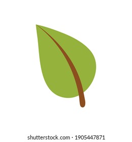 Green leaf of a tree. Vector illustration on white isolated background.