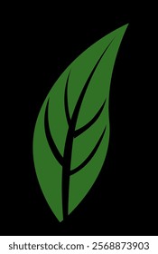 green leaf from tree vector illustration