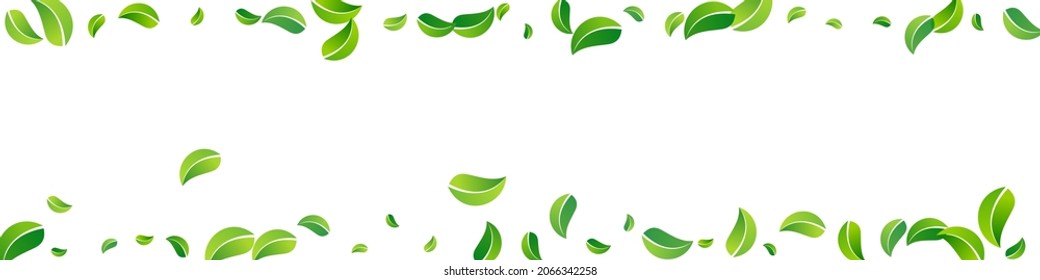 Green Leaf Tree Vector Panoramic White Background Design. Nature Greens Poster. Swamp Leaves Realistic Concept. Foliage Transparent Banner.