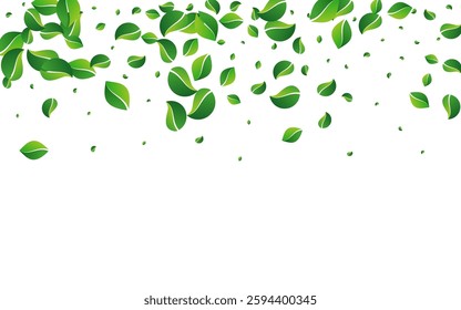 Green Leaf Tree Vector White Background. Fly Greens Banner. Grassy Foliage Ecology Design. Leaves Swirl Concept.