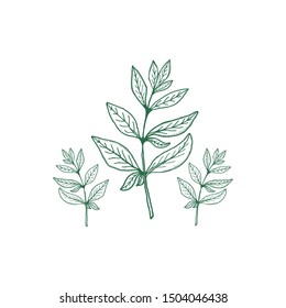 Green Leaf or Tree Vintage Logo Design Retro