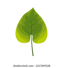 green leaf tropical on white background