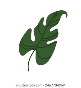 Hoja verde de planta tropical en estilo plano. Plantas tropicales. Botánica, hoja de planta decorativa.