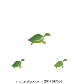 Green Leaf Turtle Logo Inspiration