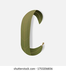 Green leaf uppercase letter C for invitation card. Vector illustration