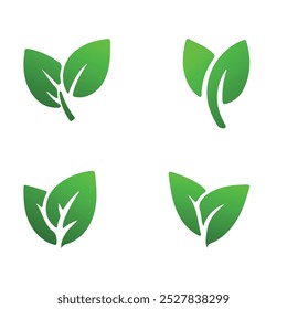 design de arte vetorial de folha verde
