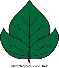 Green leaf vector art illustration with a white background